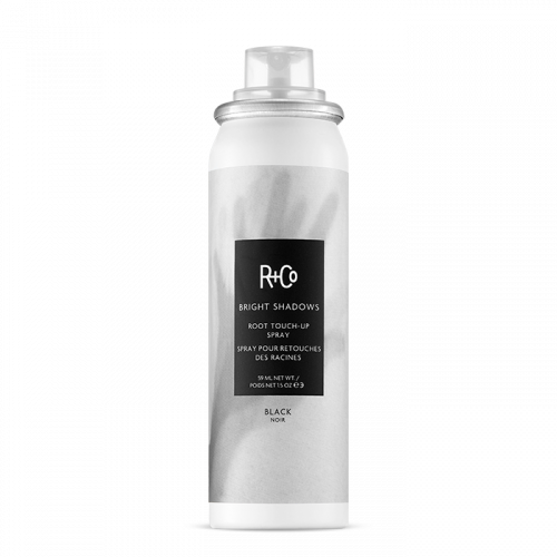 Bright Shadows Root Touch-Up Spray: Black ~ R+Co